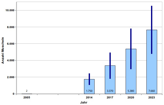 Populationsentwicklung Anzahl Muscheln von 2024 bis 2023